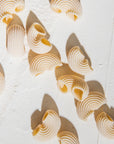 Dried Pipette Pasta