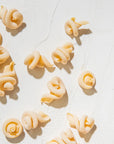 Dried Trottoloni Pasta
