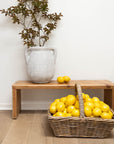 Rustic White Mediterranean Urn