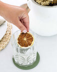 Dried Lemon Slices - Seed + Stow