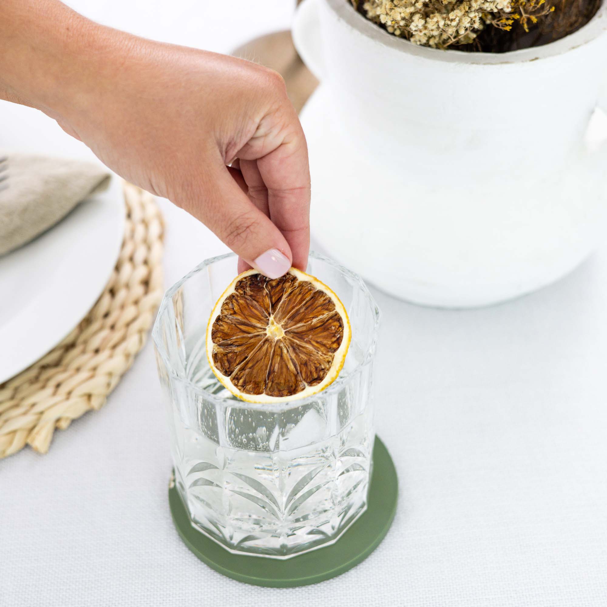 Dried Lemon Slices - Seed + Stow